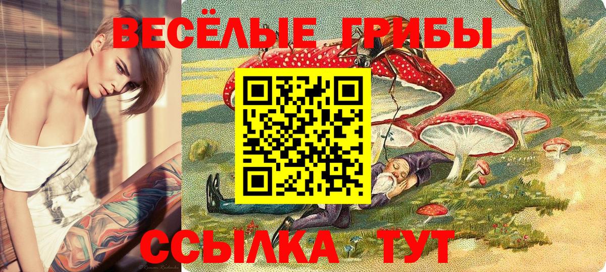 Псилоцибиновые грибы Psilocybe Троицк