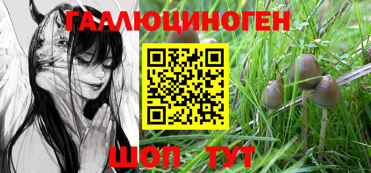 Троицк  Галлюциногенные грибы Psilocybe  Вход с VPN  Псилоцибиновые грибы Magic Shrooms 
